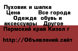 Пуховик и шапка  Adidas  › Цена ­ 100 - Все города Одежда, обувь и аксессуары » Другое   . Пермский край,Кизел г.